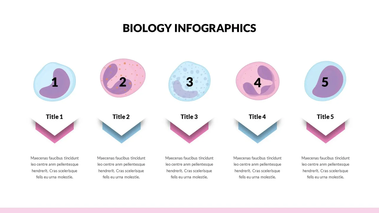 Biology Slides Template