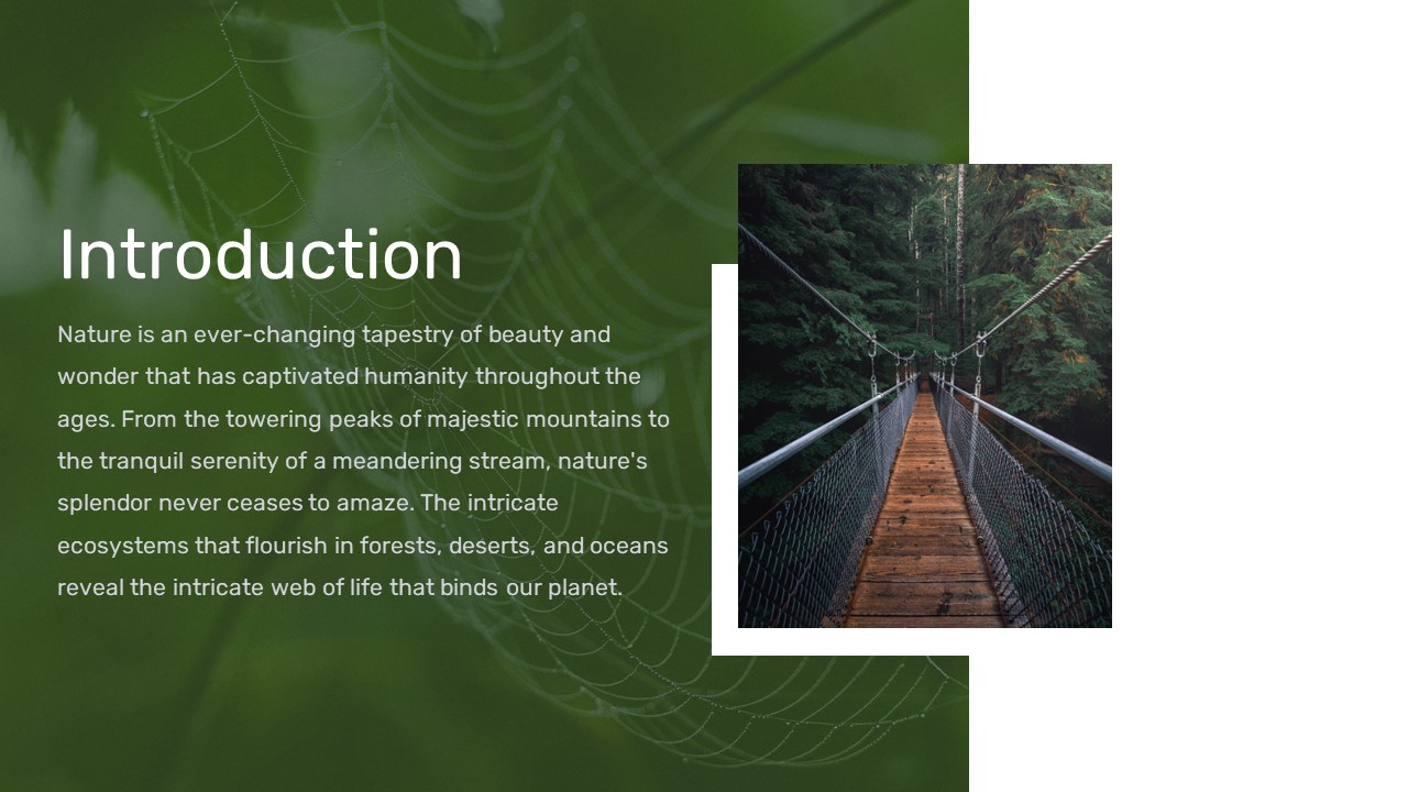 Nature Slide Template 2