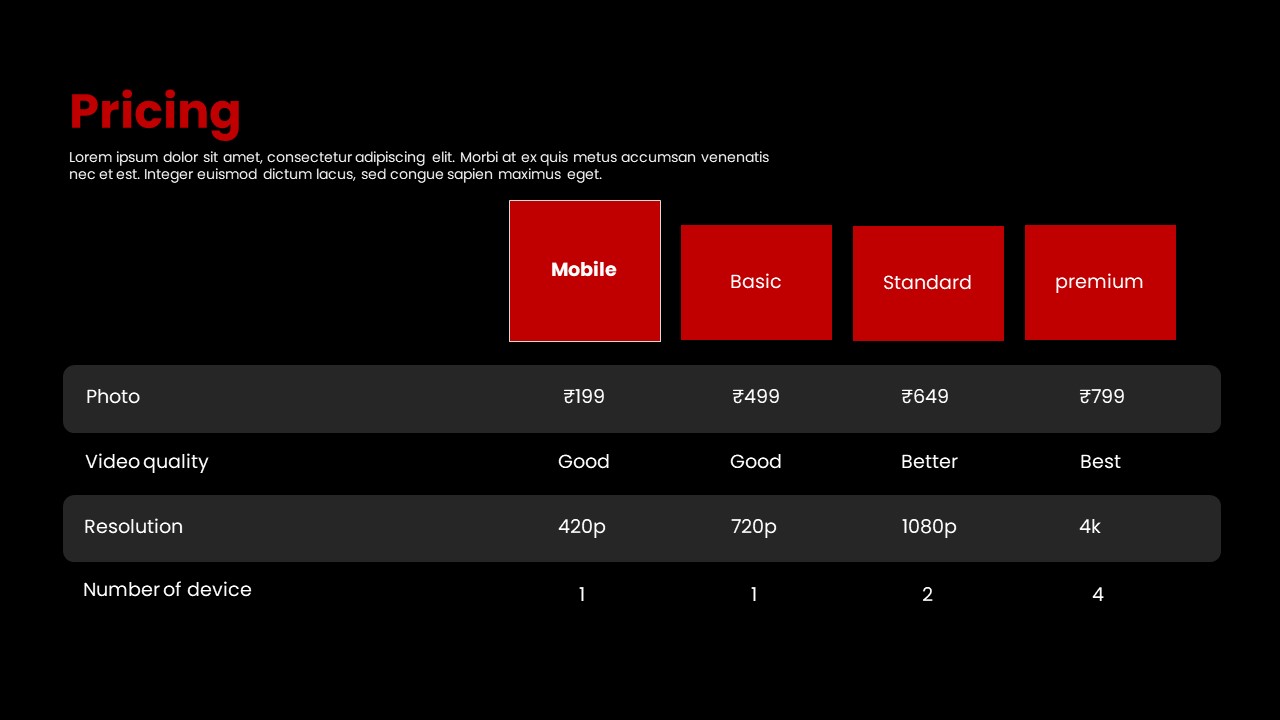 Netflix Slide Template 13